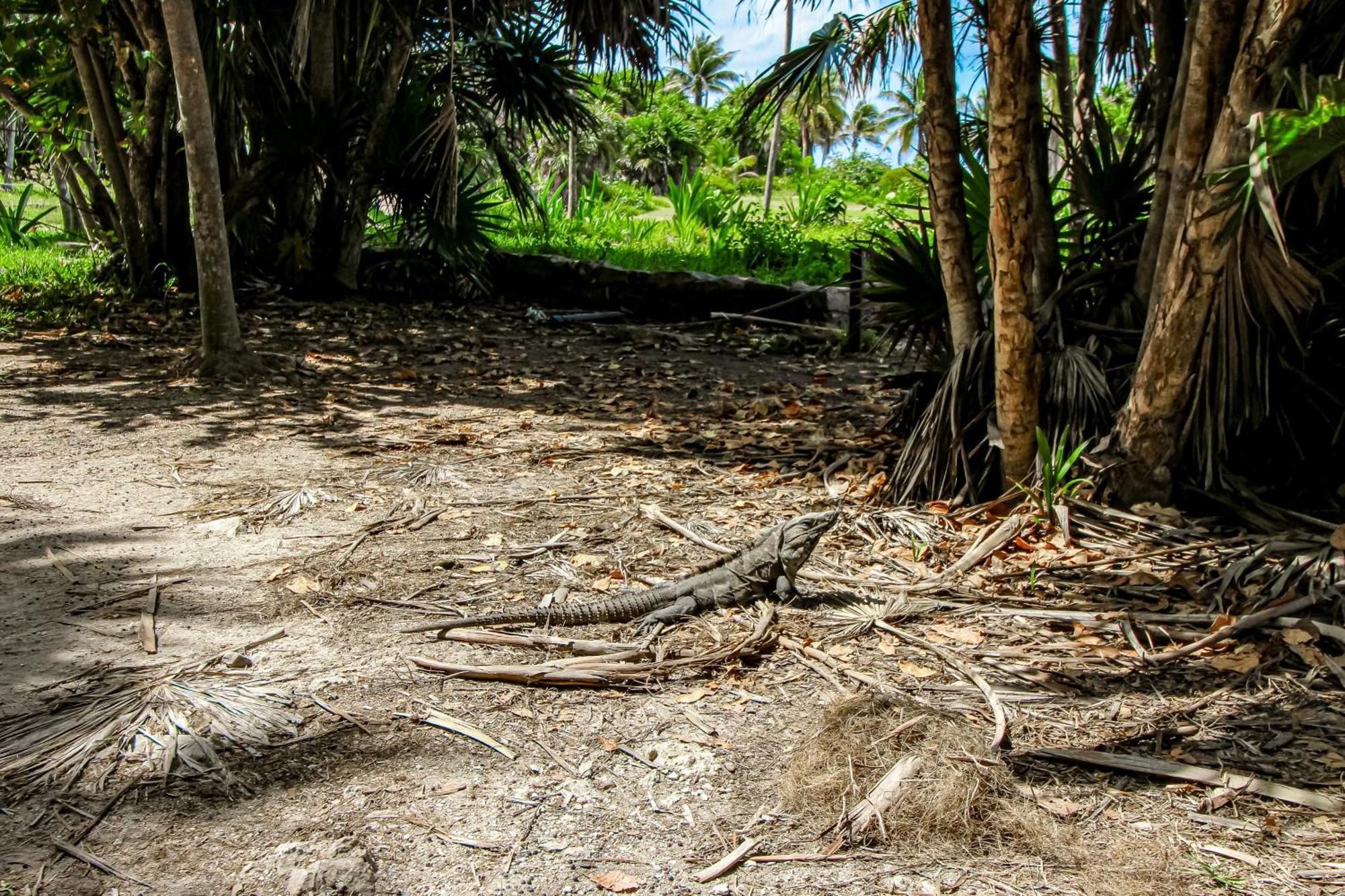 Villa Katalox At Aldea Zama Tulum Exterior foto